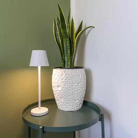 아파트 Maison Principe *